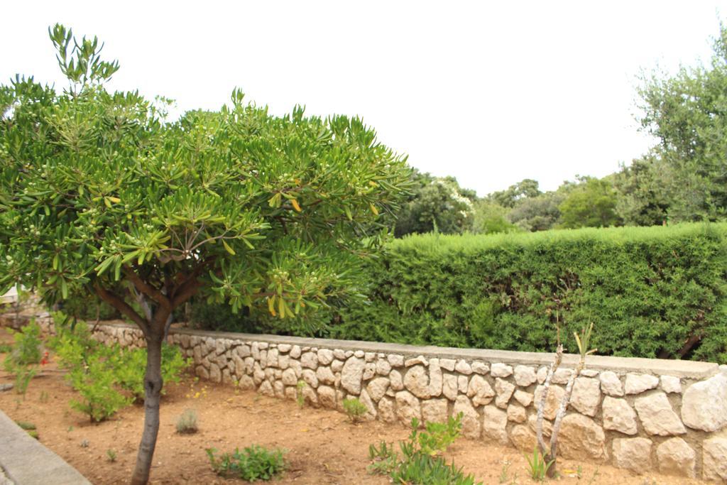 מאנדרה Apartments Baka Jelka מראה חיצוני תמונה